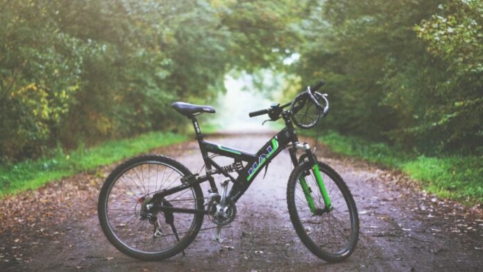green bike pic