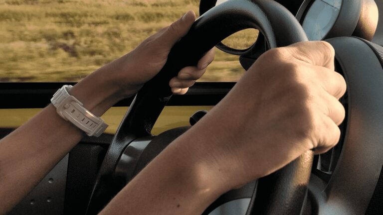 Embarking on Your Driving Journey: Essential Insights into the Pre-Licensing Course